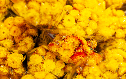 Colour and vibrancy in our range of dried products...